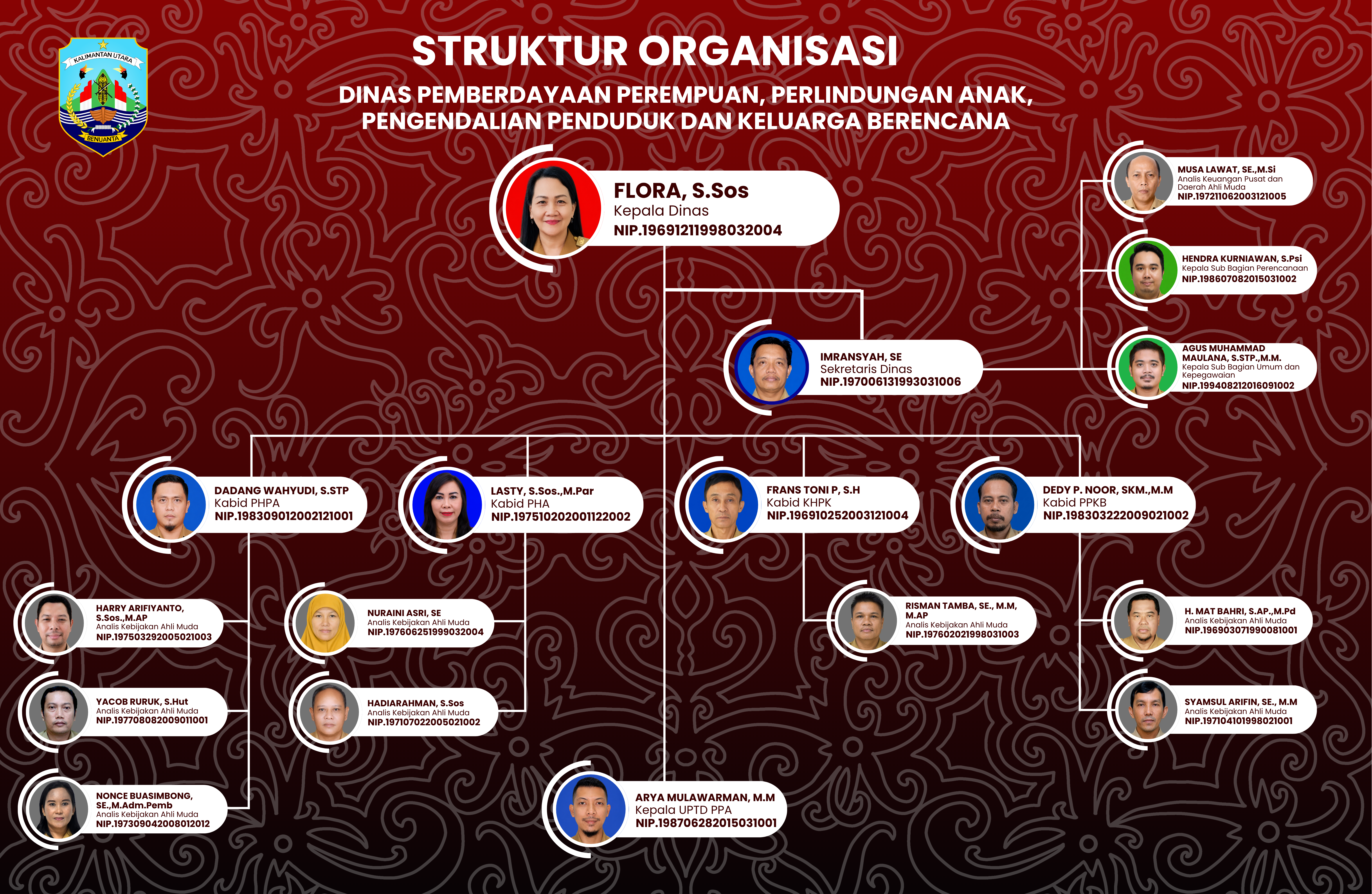 Struktur Organisasi DPPPAPPKB Kaltara